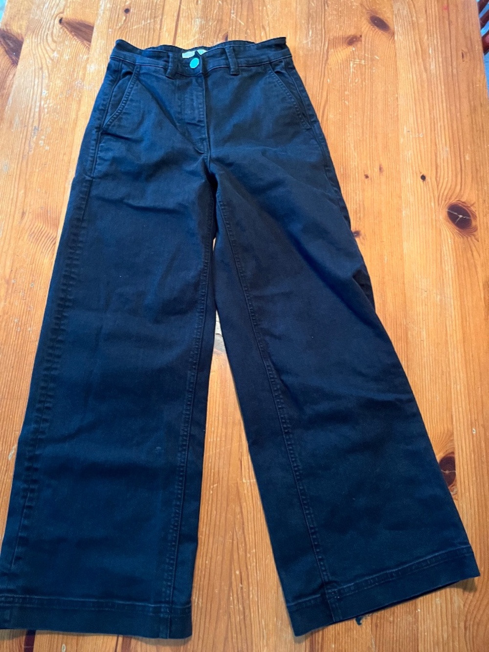 Everlane Black Wide leg Pants